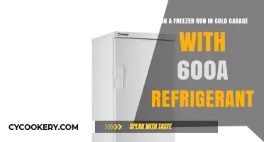 Running a Freezer in Cold Garages: 600a Refrigerant Compatibility Explained