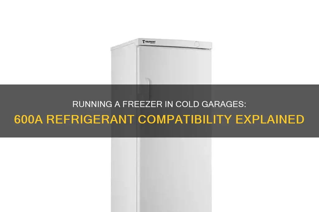 can a freezer run in cold garage with 600a refrigerant