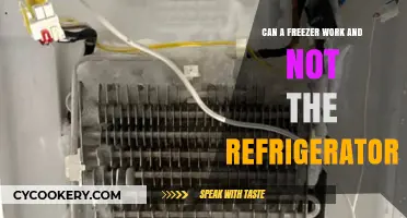 Why Your Freezer Works but Your Refrigerator Isn't Cooling