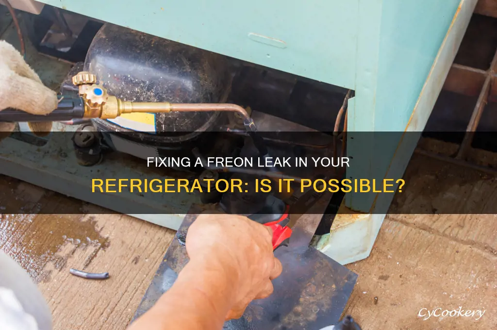can a freon leak in a refrigerator be fixed
