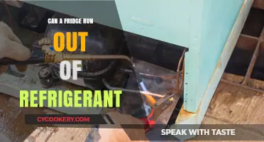 Can Your Fridge Run Out of Refrigerant? Key Facts Explained