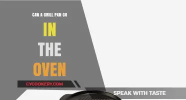 Grill Pan and Oven: A Perfect Match?