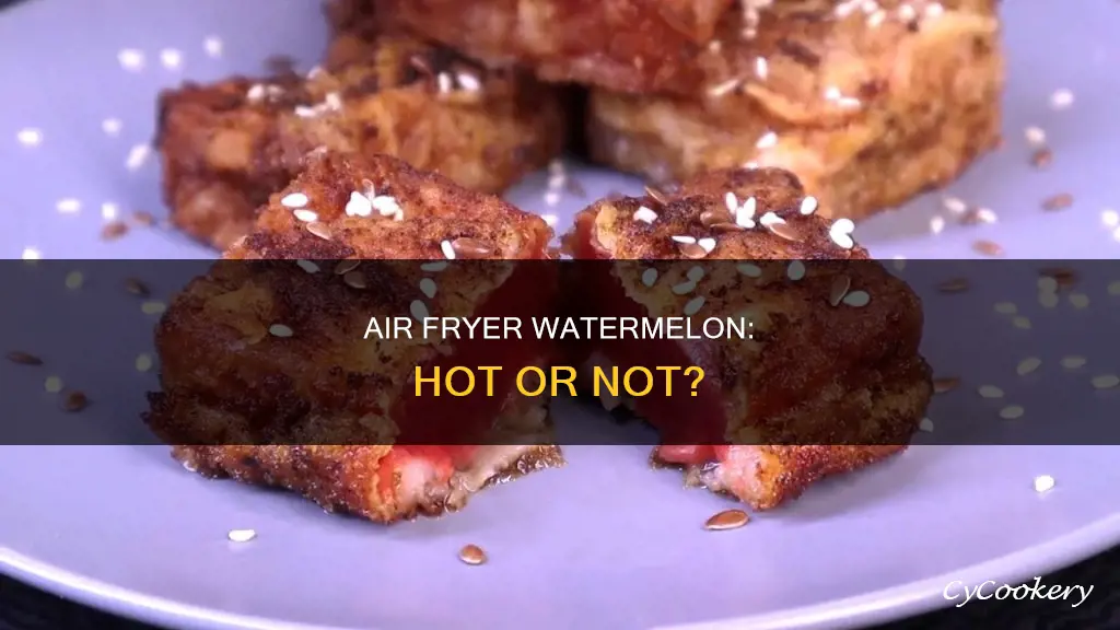 can a hot air fryer watermelon