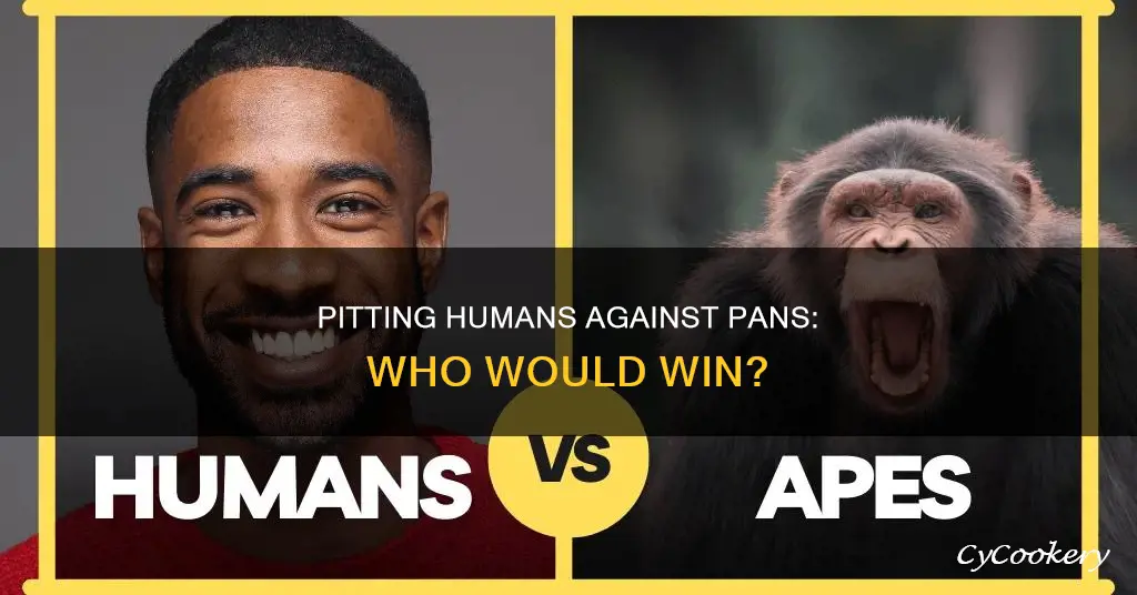 can a human win in a fight against a pan