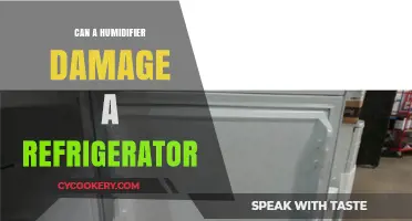 Can Humidifiers Harm Your Fridge? Uncovering the Risks and Facts