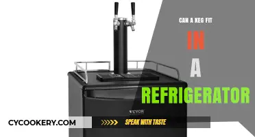 Can a Keg Fit in Your Fridge? Size and Space Guide