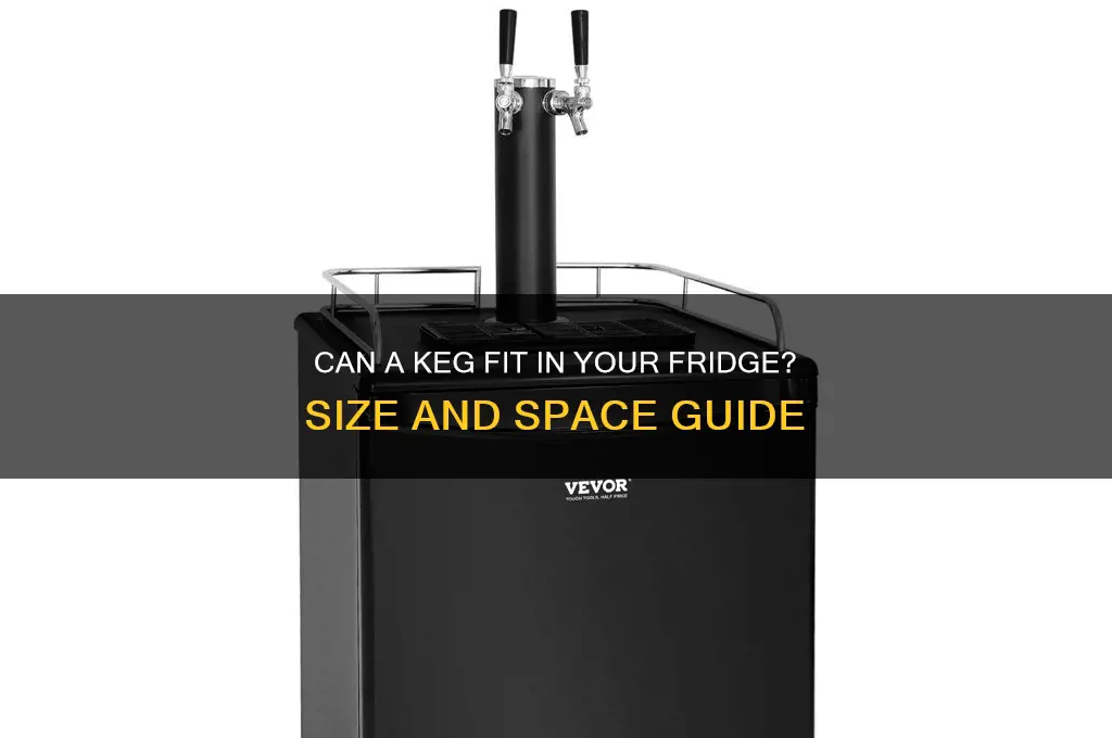 can a keg fit in a refrigerator