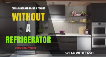 Can Landlords Remove Refrigerators? Tenant Rights Explained