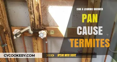 Termite Trouble: Leaking Shower Pans and Infestations