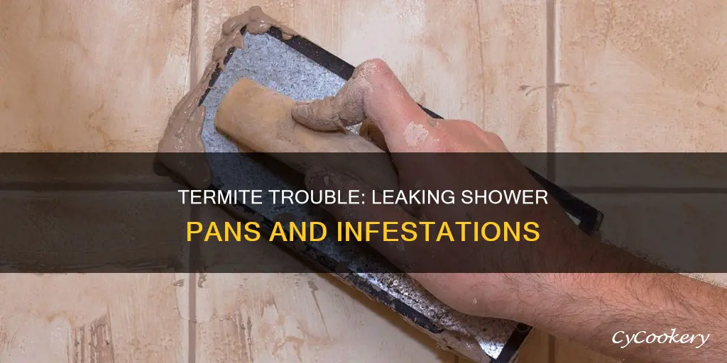 can a leaking shower pan cause termites