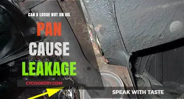 Loose Oil Pan Nut: A Leakage Culprit