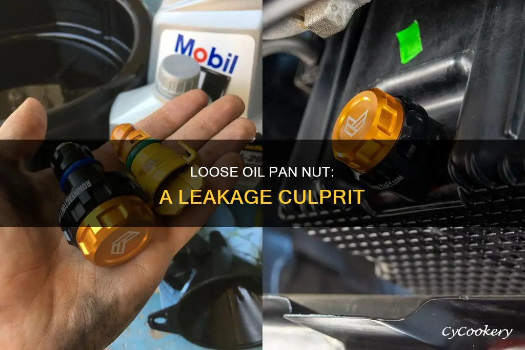 can a loose nut on oil pan cause leakage