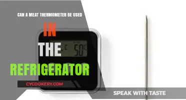 Using a Meat Thermometer in the Fridge: Safe or Not?