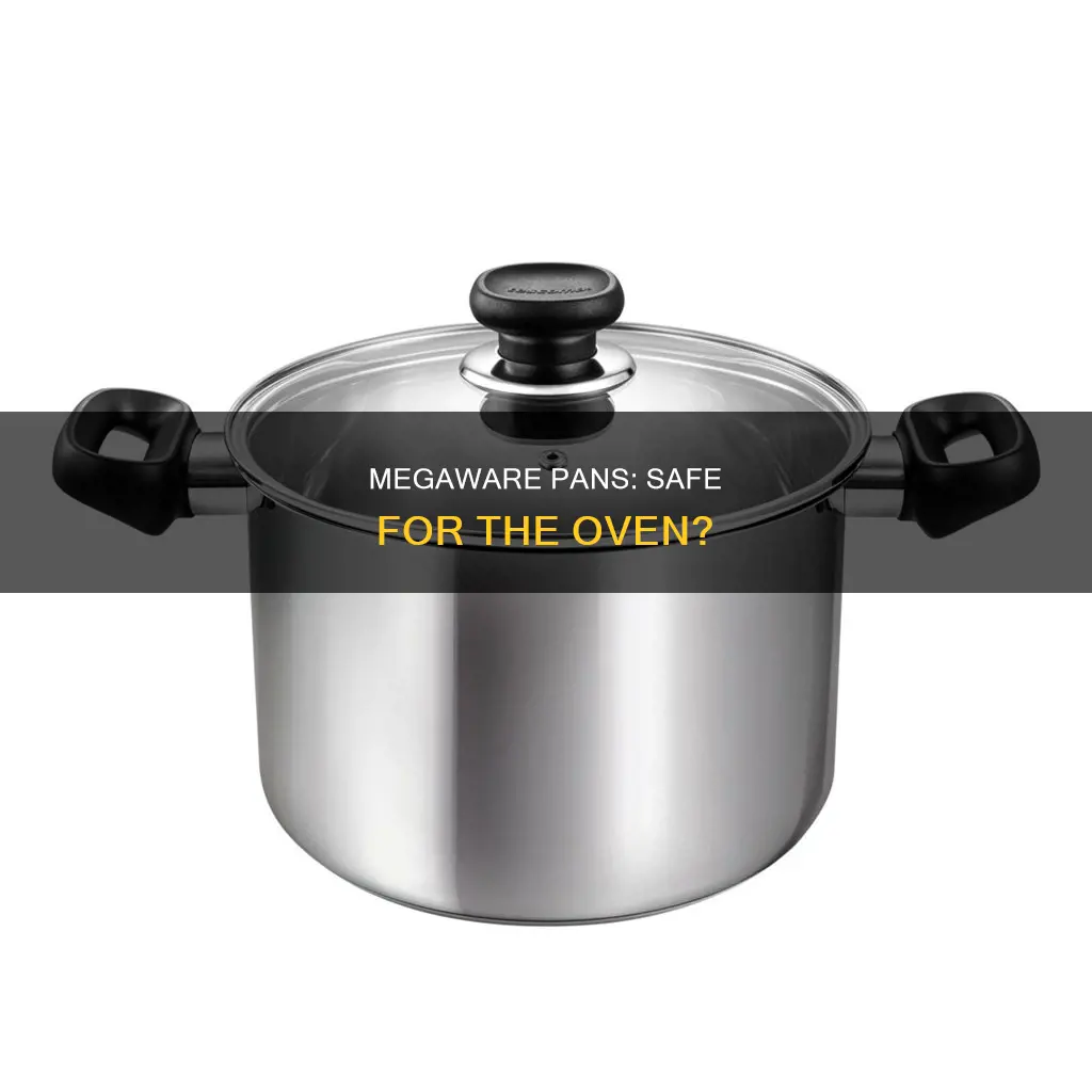can a megaware pan be put in the oven