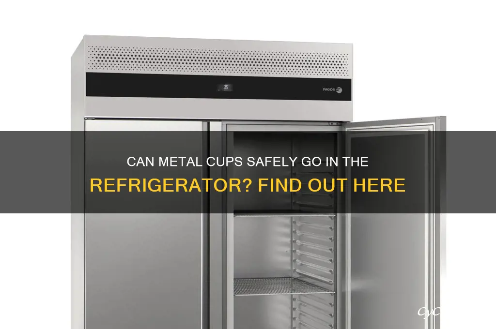 can a metal cup go in refrigerator