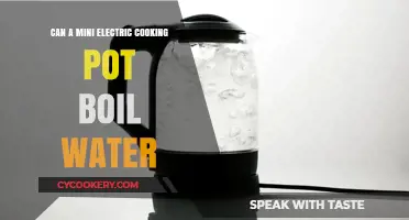 Mini Electric Cooking Pot: Can It Boil Water?