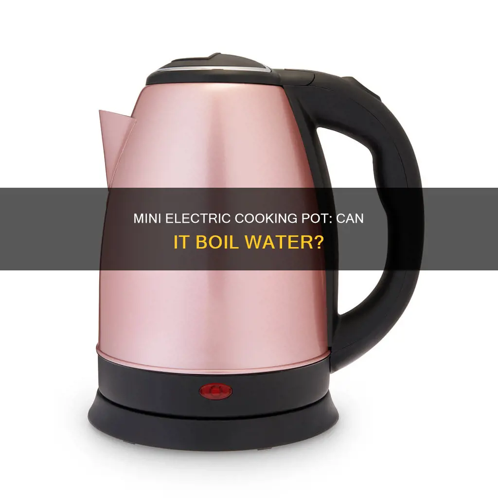 can a mini electric cooking pot boil water
