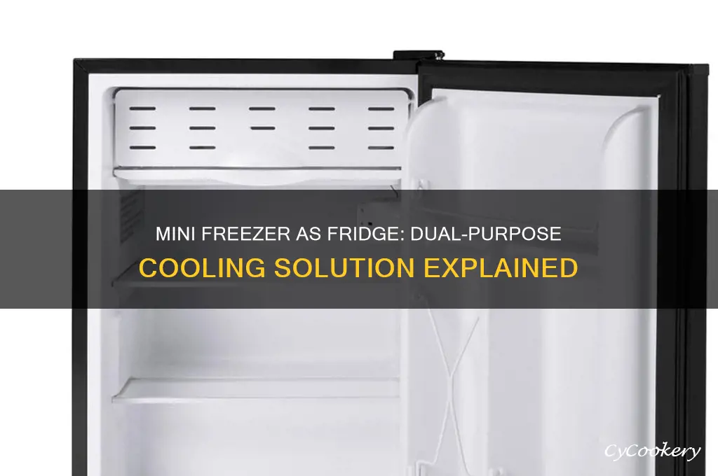 can a mini freezer also work as refrigerator