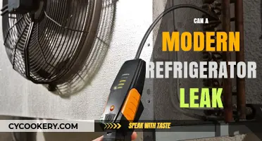 Modern Refrigerators: Understanding Potential Leaks and How to Prevent Them