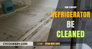 Reviving Your Fridge: Effective Ways to Clean a Moldy Refrigerator