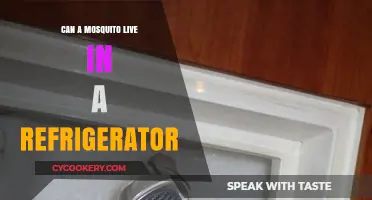 Can Mosquitoes Survive in Your Refrigerator? The Chilling Truth