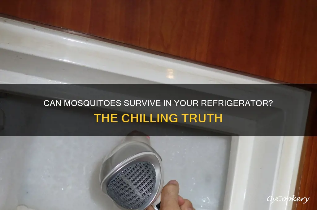 can a mosquito live in a refrigerator
