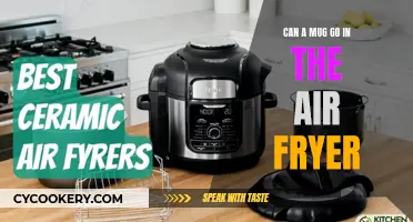 Air Fryer Mug Experiment: Safe or Not?