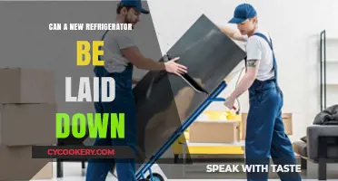 Can You Lay a New Refrigerator Down? Expert Tips and Advice