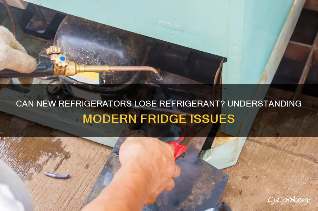 can a newer refrigerator loose refrigerant