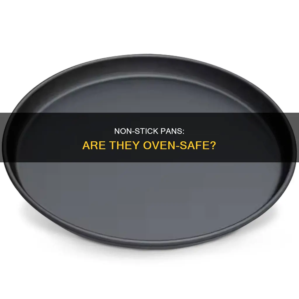 can a non stick pan go in the oven