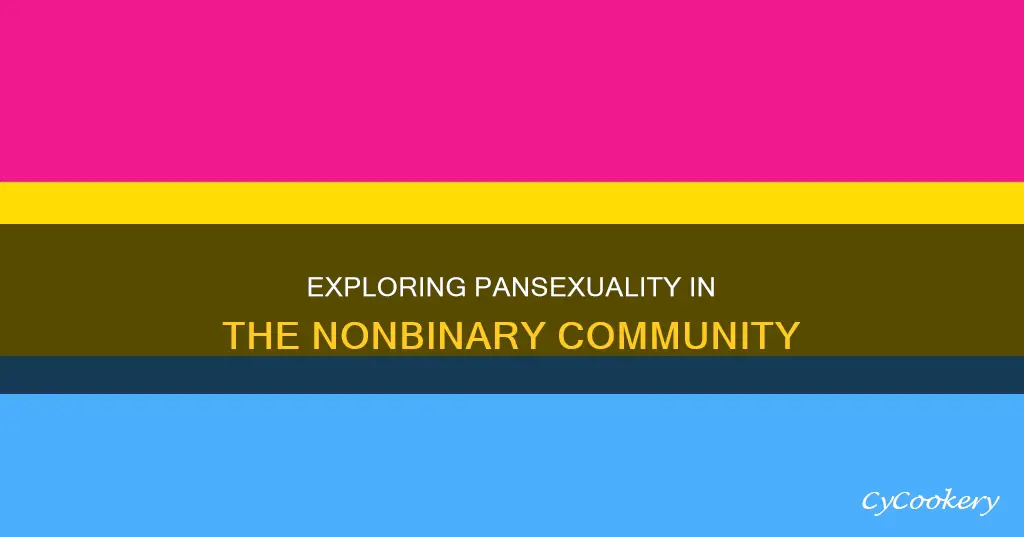 can a nonbinary person be pan