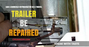 Repairing Norcold Refrigerators in Travel Trailers: Is It Possible?