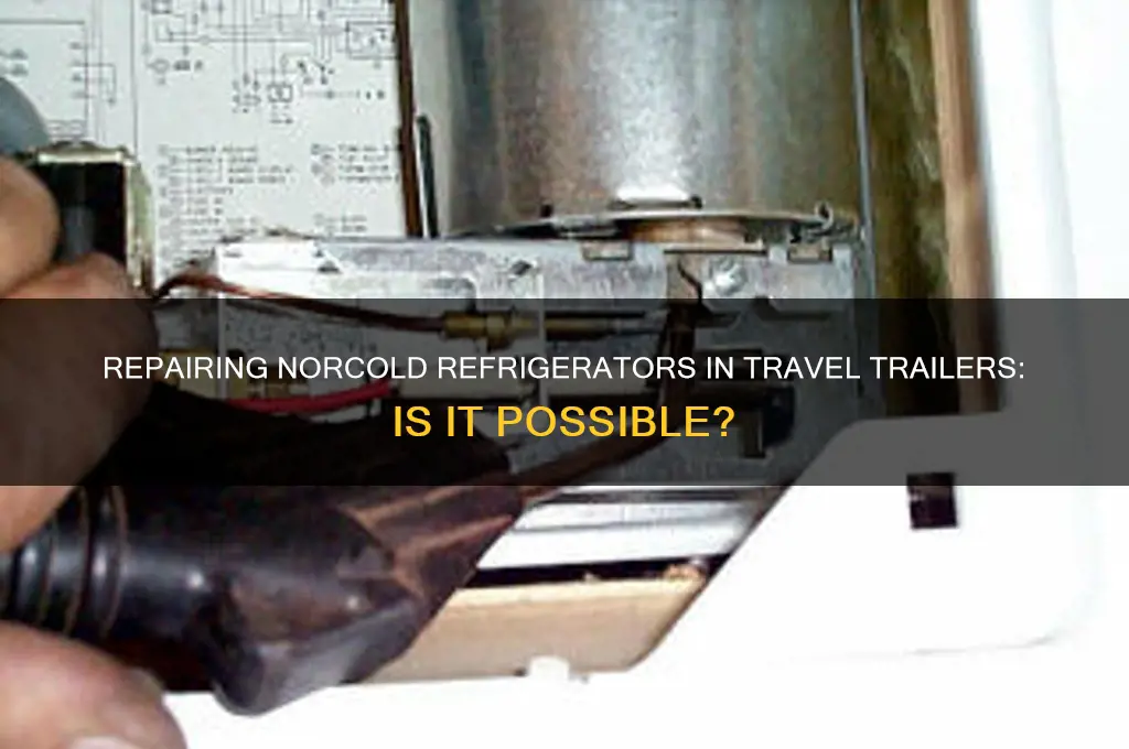 can a norcold refrigerator in a travel trailer be repaired