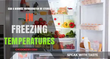 Can Regular Fridges Handle Freezing Temps? Storage Tips Revealed