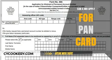 NRIs: How to Apply for a PAN Card