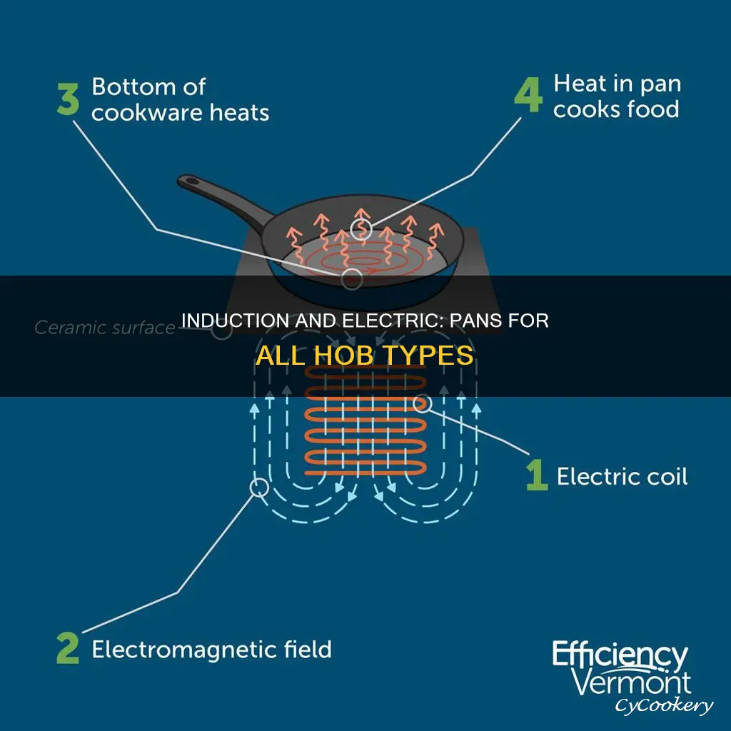 can a pan be both induction and electric