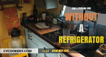 Living Without a Fridge: Is It Possible and How to Manage?