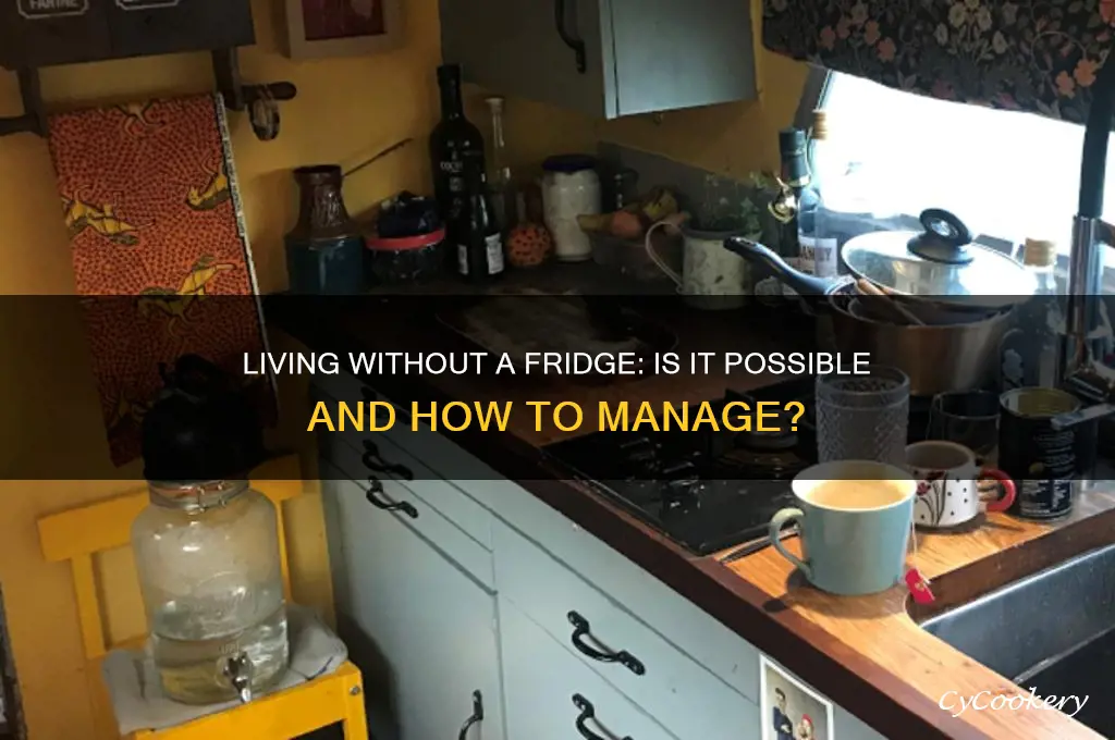 can a person live without a refrigerator