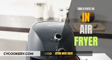 Air Fryer and Plates: Safe or Not?