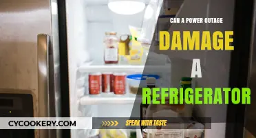 Power Outage Risks: Can Your Refrigerator Survive the Blackout?
