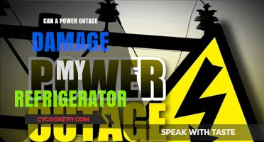 Power Outage Risks: Can Your Refrigerator Survive the Blackout?