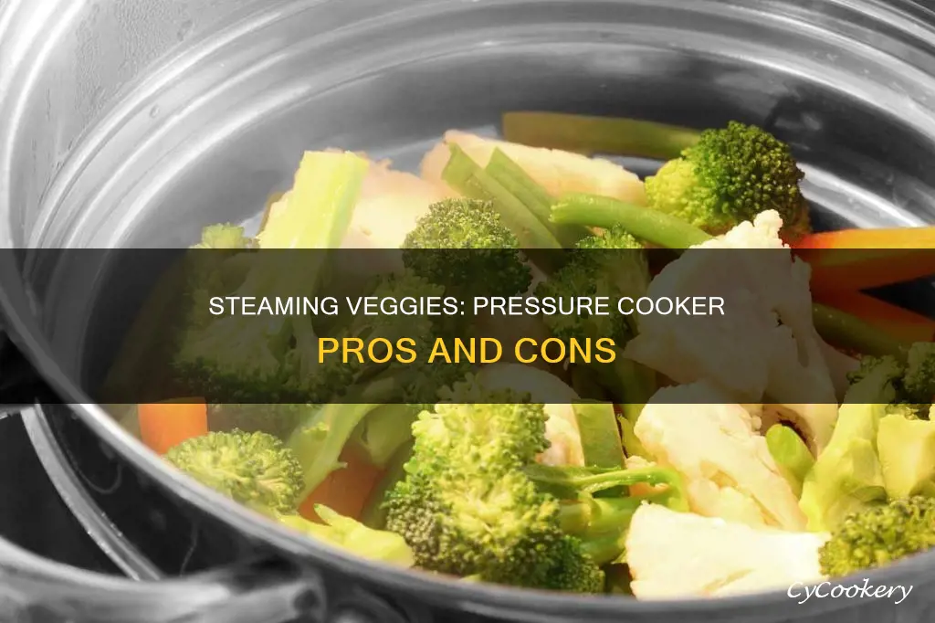 can a pressure cooker be used to steam vegetavkes