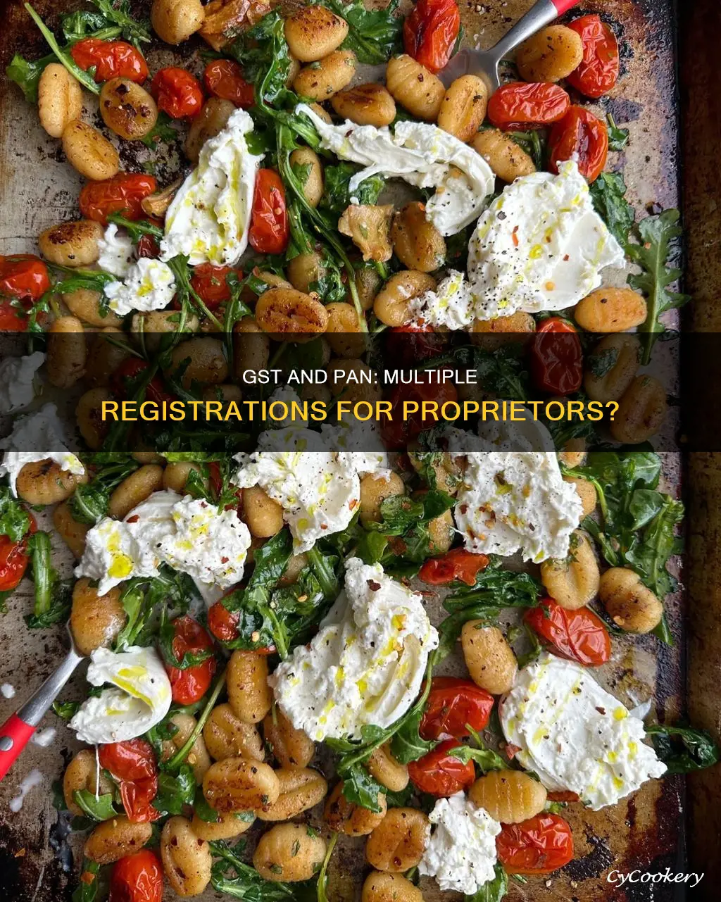 can a proprietor have two gst with one pan