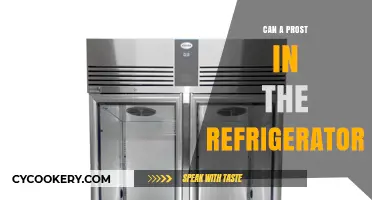 Can You Store Prosthetics in the Fridge? Surprising Facts Revealed