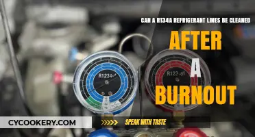 Cleaning R134a Refrigerant Lines Post-Burnout: Is It Possible?