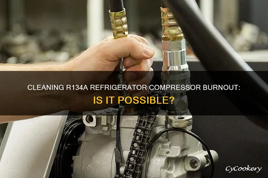 can a r134a refrigerator compressor burnout be cleaned