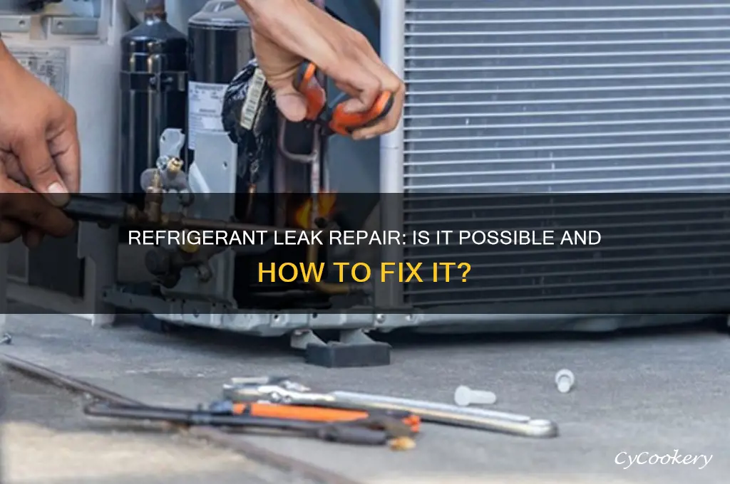 can a refrigerant leak be repaired