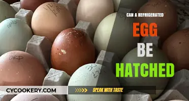 Can Refrigerated Eggs Hatch? Unraveling the Myth and Science