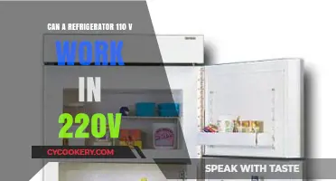 Will Your 110V Fridge Function Safely on a 220V Power Supply?