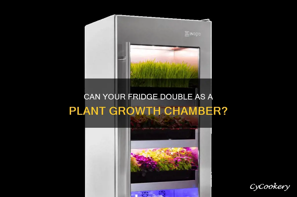 can a refrigerator act as growth chamber